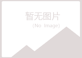 中原区白山机械有限公司